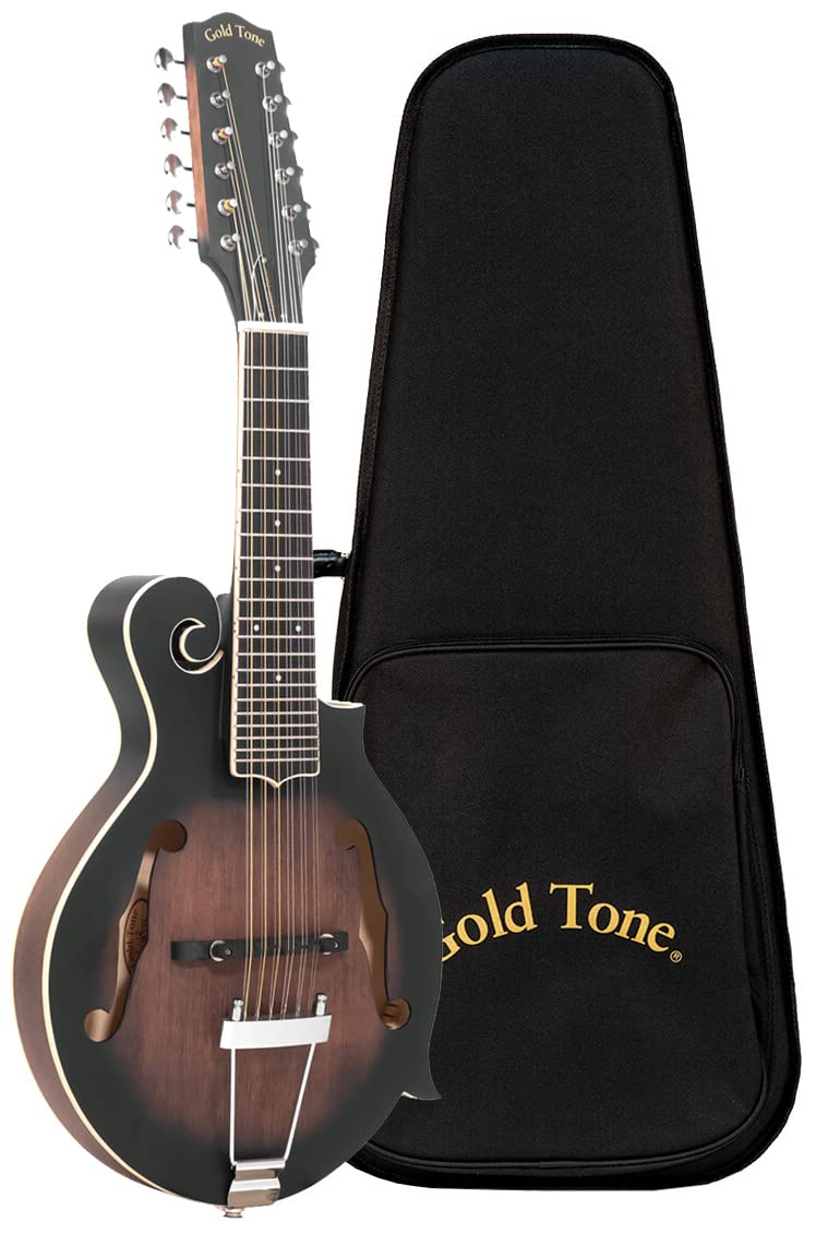 Gold Tone 12 String Mando Guitar Hardshell