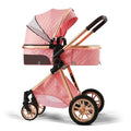 Stroller Pushchair Landscape Reversible Reclining