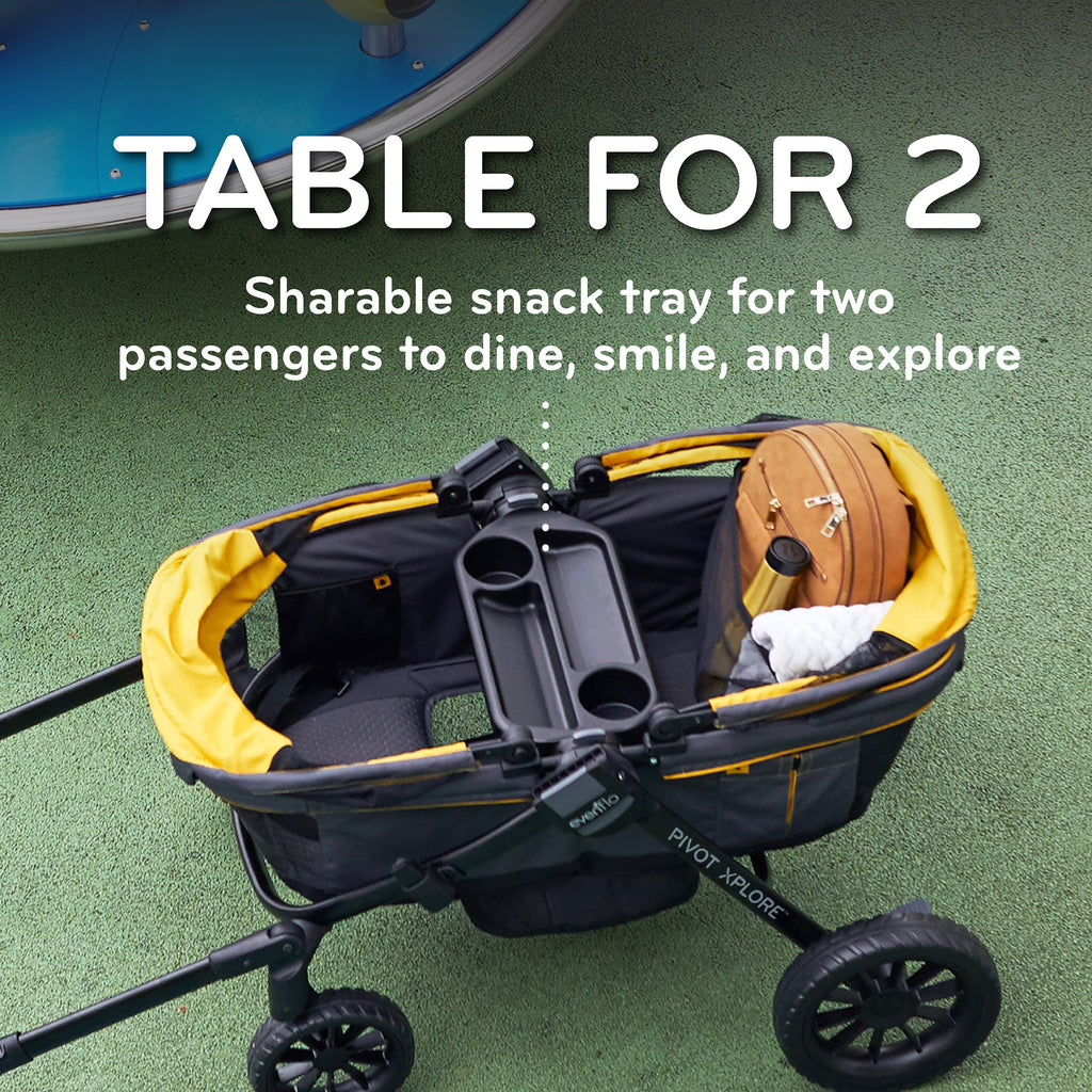 Evenflo Xplore All Terrain Stroller Wayfarer