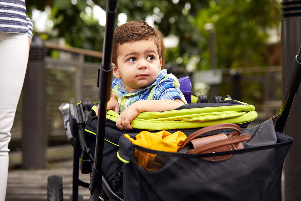 Evenflo Xplore All Terrain Stroller Wayfarer