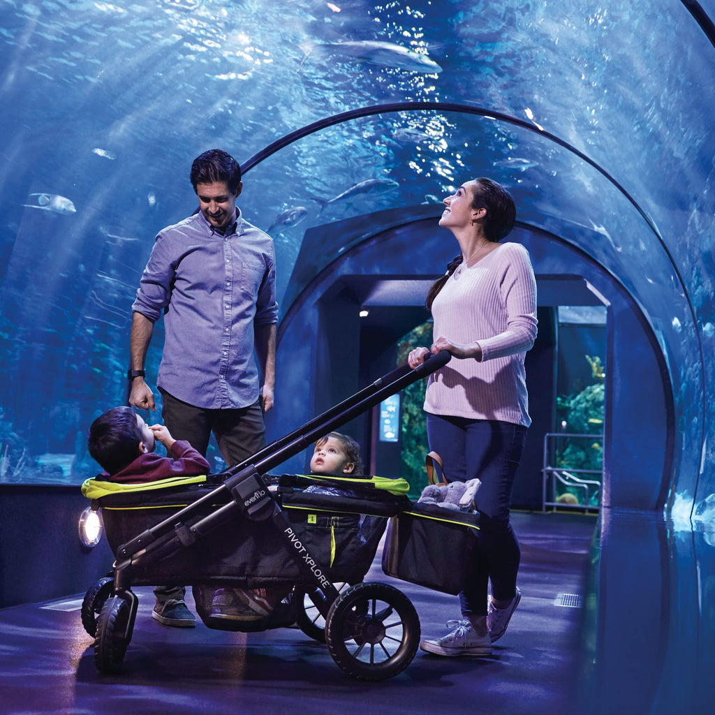 Evenflo Xplore All Terrain Stroller Wayfarer